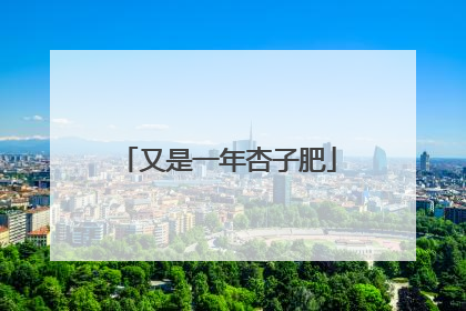 又是一年杏子肥