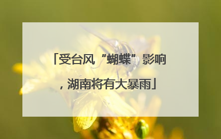 受台风“蝴蝶”影响，湖南将有大暴雨