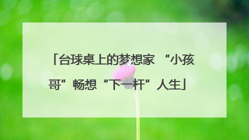 台球桌上的梦想家 “小孩哥”畅想“下一杆”人生
