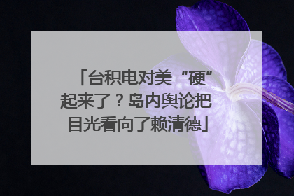 台积电对美“硬”起来了？岛内舆论把目光看向了赖清德