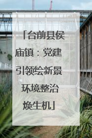 台前县侯庙镇：党建引领绘新景 环境整治焕生机