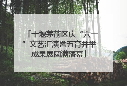 十堰茅箭区庆“六一”文艺汇演暨五育并举成果展圆满落幕