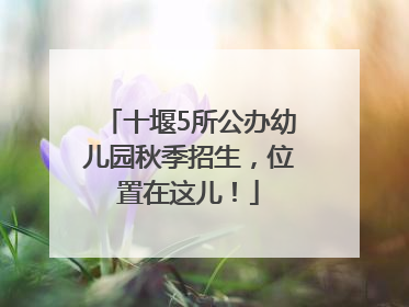 十堰5所公办幼儿园秋季招生，位置在这儿！