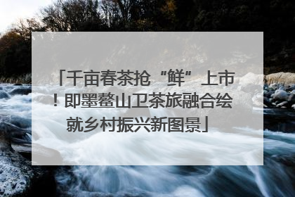 千亩春茶抢“鲜”上市！即墨鳌山卫茶旅融合绘就乡村振兴新图景