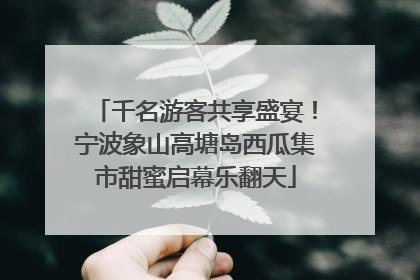 千名游客共享盛宴！宁波象山高塘岛西瓜集市甜蜜启幕乐翻天
