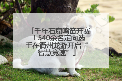 千年石窟鸣笛开赛！540余名定向选手在衢州龙游开启“智慧竞速”