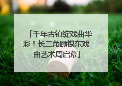 千年古镇绽戏曲华彩！长三角顾锡东戏曲艺术周启幕