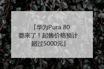 华为Pura 80要来了！起售价格预计超过5000元