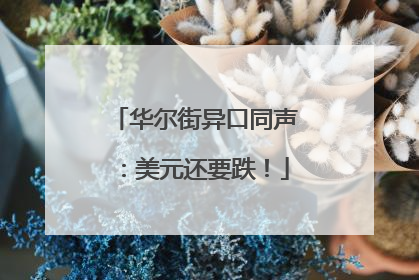 华尔街异口同声：美元还要跌！
