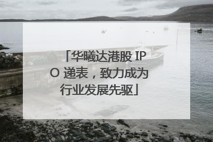 华曦达港股 IPO 递表，致力成为行业发展先驱