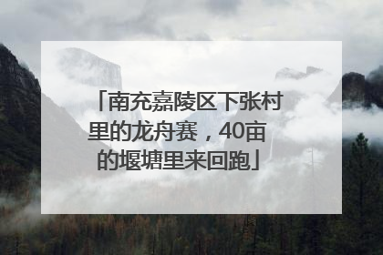 南充嘉陵区下张村里的龙舟赛，40亩的堰塘里来回跑