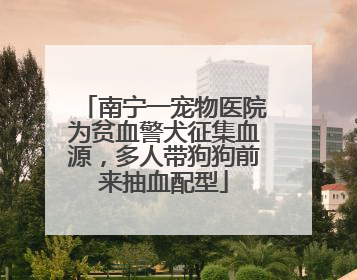 南宁一宠物医院为贫血警犬征集血源，多人带狗狗前来抽血配型