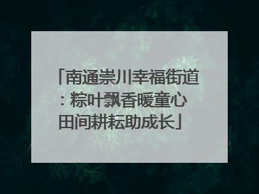 南通崇川幸福街道：粽叶飘香暖童心 田间耕耘助成长