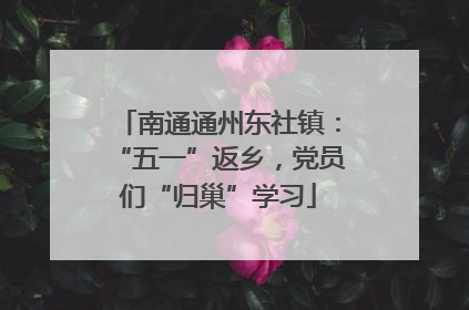 南通通州东社镇：“五一”返乡，党员们“归巢”学习