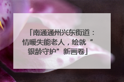 南通通州兴东街道：情暖失能老人，绘就“银龄守护”新画卷