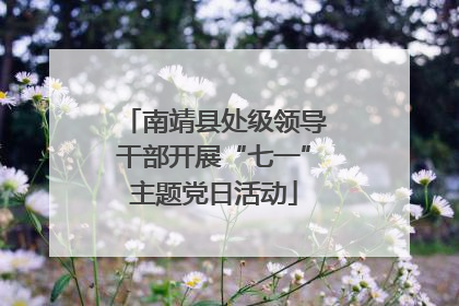 南靖县处级领导干部开展“七一”主题党日活动