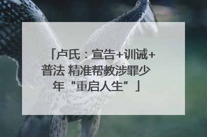 卢氏：宣告+训诫+普法 精准帮教涉罪少年“重启人生”