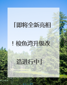 即将全新亮相！梭鱼湾升级改造进行中