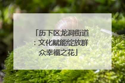 历下区龙洞街道：文化赋能绽放群众幸福之花