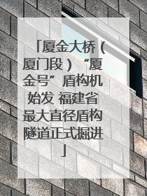 厦金大桥（厦门段）“厦金号”盾构机始发 福建省最大直径盾构隧道正式掘进