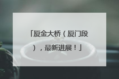 厦金大桥（厦门段），最新进展！