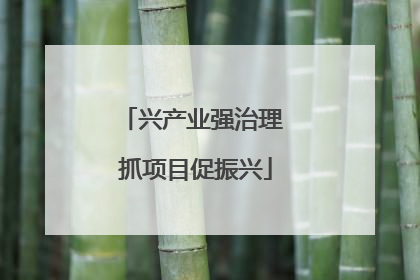 兴产业强治理 抓项目促振兴