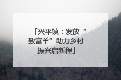 兴平镇：发放“致富羊”助力乡村振兴启新程