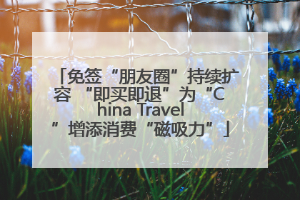 免签“朋友圈”持续扩容 “即买即退”为“China Travel”增添消费“磁吸力”