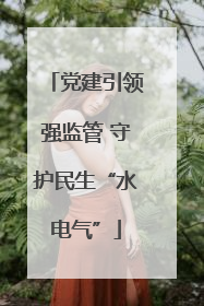 党建引领强监管 守护民生“水电气”