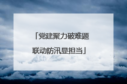 党建聚力破难题 联动防汛显担当