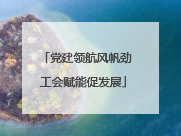 党建领航风帆劲 工会赋能促发展