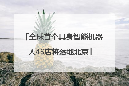 全球首个具身智能机器人4S店将落地北京