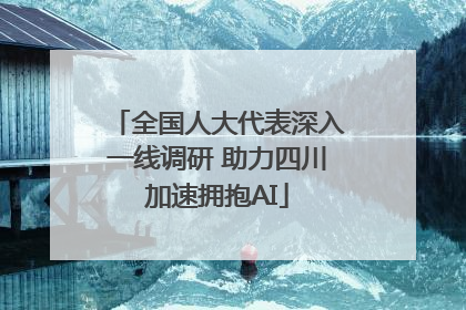 全国人大代表深入一线调研 助力四川加速拥抱AI