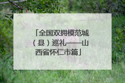 全国双拥模范城（县）巡礼——山西省怀仁市篇