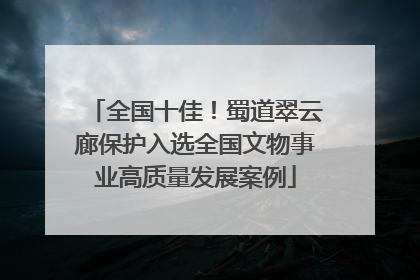 全国十佳！蜀道翠云廊保护入选全国文物事业高质量发展案例