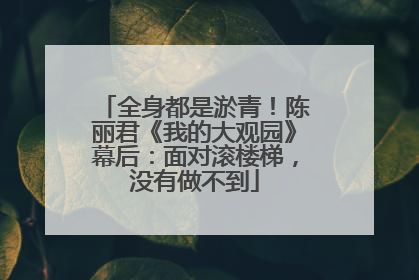 全身都是淤青！陈丽君《我的大观园》幕后：面对滚楼梯，没有做不到