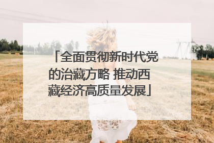 全面贯彻新时代党的治藏方略 推动西藏经济高质量发展