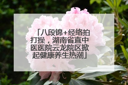 八段锦+经络拍打操，湖南省直中医医院云龙院区掀起健康养生热潮
