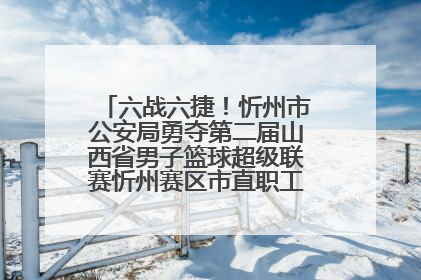 六战六捷！忻州市公安局勇夺第二届山西省男子篮球超级联赛忻州赛区市直职工组比赛冠军