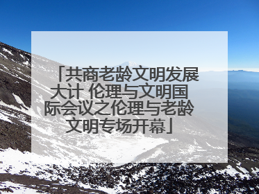 共商老龄文明发展大计 伦理与文明国际会议之伦理与老龄文明专场开幕