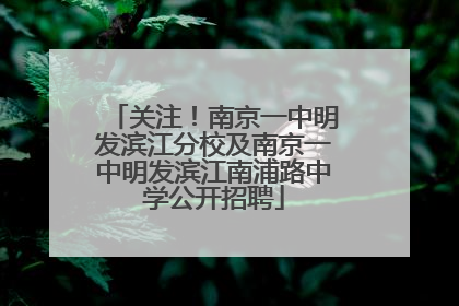 关注！南京一中明发滨江分校及南京一中明发滨江南浦路中学公开招聘