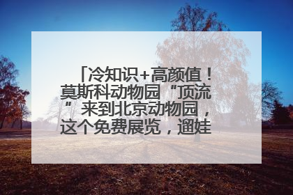 冷知识+高颜值！莫斯科动物园“顶流”来到北京动物园，这个免费展览，遛娃拍照两不误！