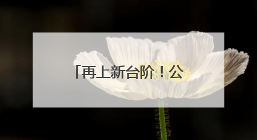 再上新台阶！公募规模首破33万亿元，股票基金规模同比领涨