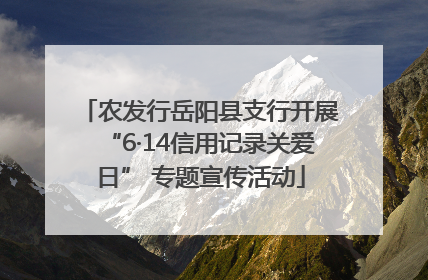 农发行岳阳县支行开展“6·14信用记录关爱日” 专题宣传活动