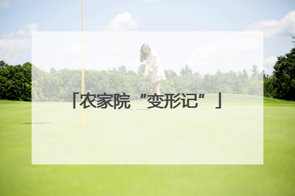 农家院“变形记”