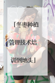 冬枣种植管理技术培训到地头