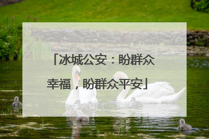 冰城公安：盼群众幸福，盼群众平安