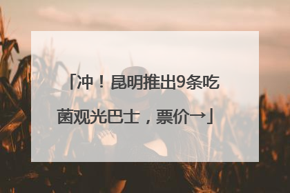 冲！昆明推出9条吃菌观光巴士，票价→