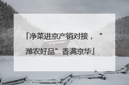 净菜进京产销对接，“潍农好品”香满京华