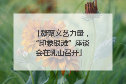 凝聚文艺力量，“印象银滩”座谈会在乳山召开